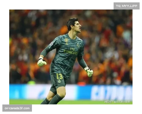 皇马确认库尔图瓦已恢复全队合练，有望在赛季末复出