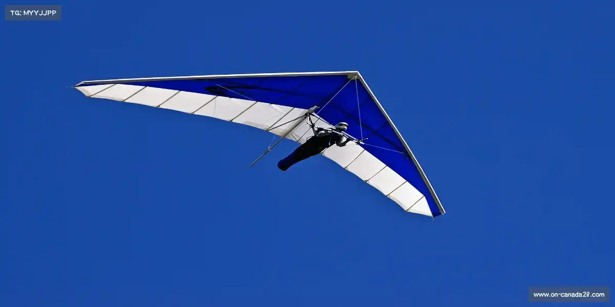 加拿大28在线玩——全力以赴,让汗水闪耀!🥇 🏅